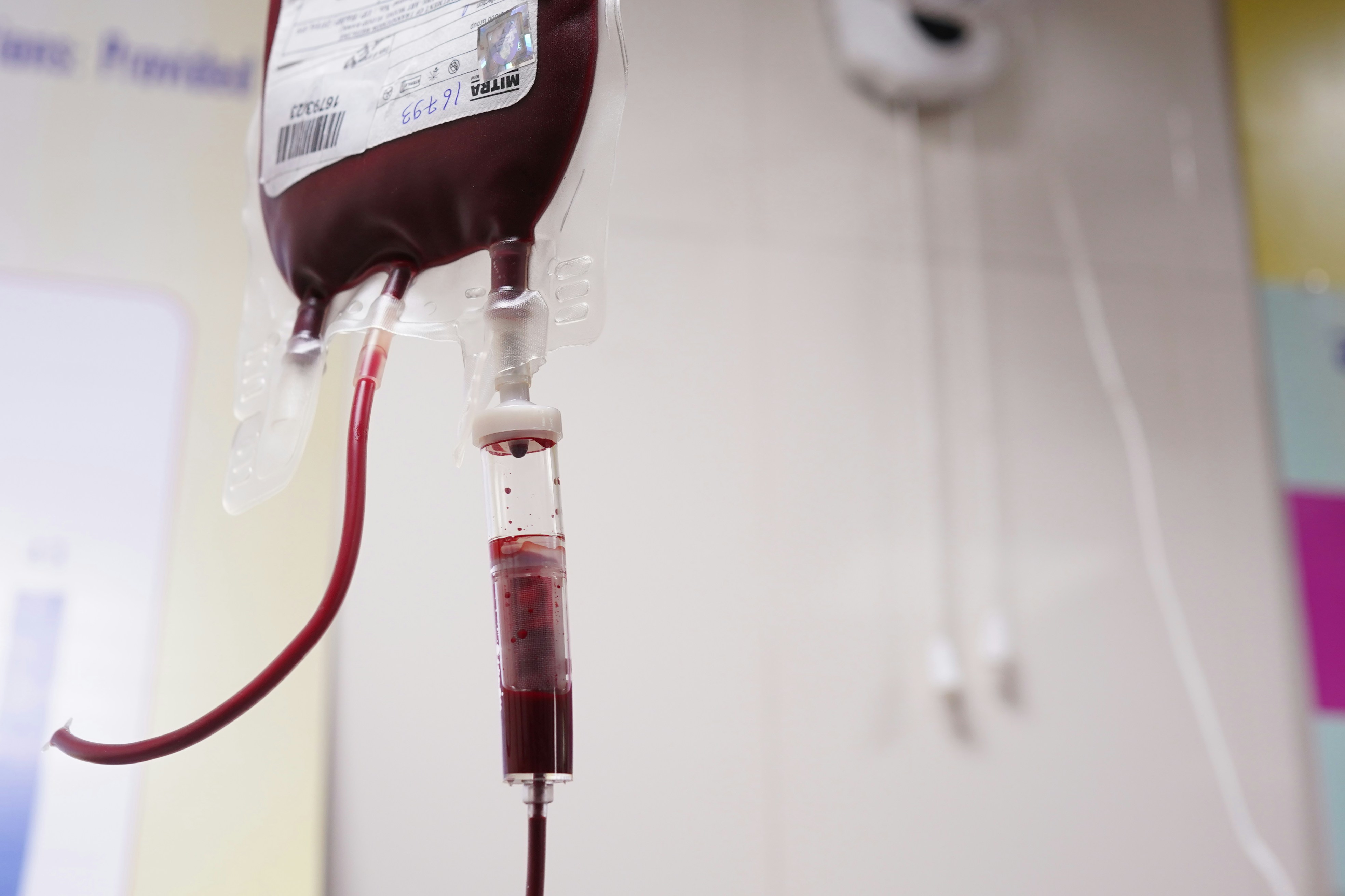 Blood Donation: Give the Gift of Life
